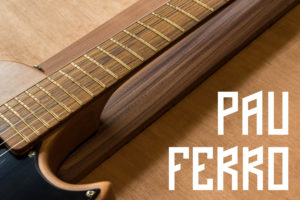 Pau Ferro Fretboard Cover Image