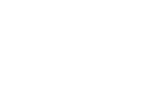 Gordon Smith Geist logo - white out